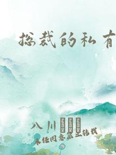总裁的私有宝贝