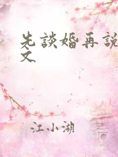 先谈婚再说爱全文