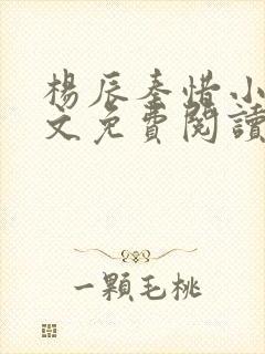 杨辰秦惜小说全文免费阅读无弹窗