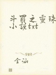 斗罗之灵珠神剑小说txt