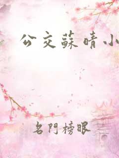 公交苏晴小说