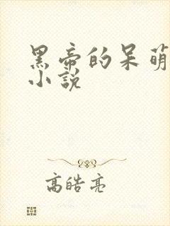 黑帝的呆萌妻 小说