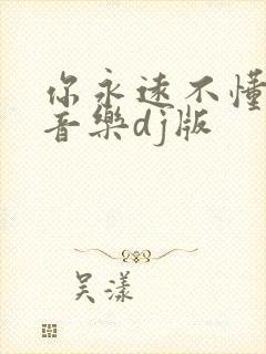 你永远不懂我纯音乐dj版