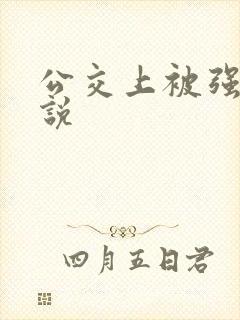 公交上被强插小说