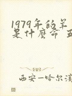 1979年的羊是什么命 五行属什么