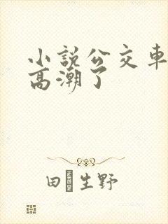 小说公交车被上高潮了