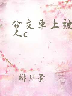 公交车上被陌生人c