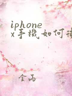 iphone x手机如何微信分身
