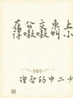 在公交车上被玩得嗷嗷叫小说