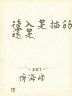 后入是插的肛门还是