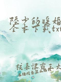 陆少的暖婚新妻全本下载txt
