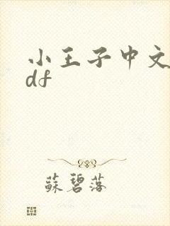 小王子中文版pdf