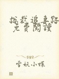 总裁追妻路漫漫 免费阅读