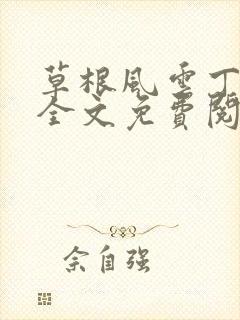 草根风云丁长生全文免费阅读