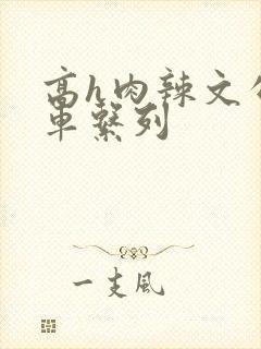 高h肉辣文公交车系列