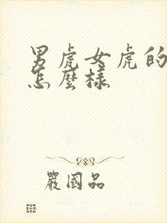 男虎女虎的婚姻怎么样