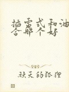 插电式和油电混合哪个好