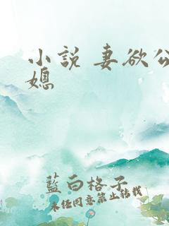 小说 妻欲公与媳