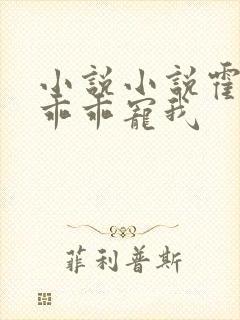 小说小说霍先生乖乖宠我
