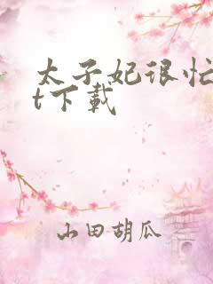 太子妃很忙txt下载
