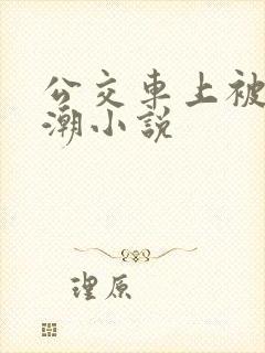 公交车上被蹭高潮小说