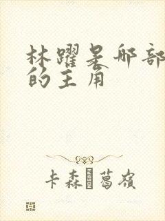 林跃是哪部小说的主角