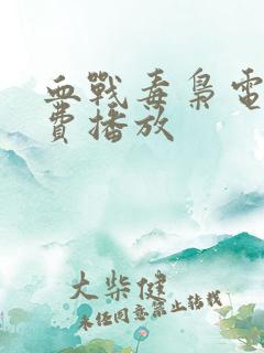 血战毒枭电影免费播放