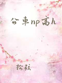 公车np高h