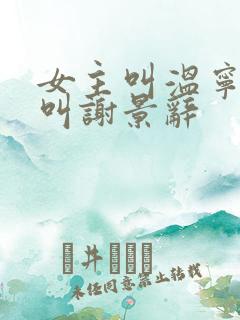 女主叫温宁男主叫谢景辞