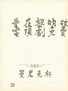 爱在黎明破晓前电视剧免费观看