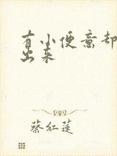 有小便意却尿不出来
