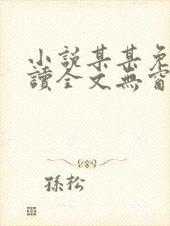 小说某某免费阅读全文无窗口