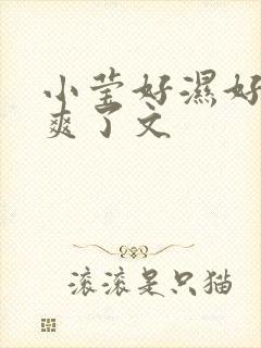 小莹好湿好紧太爽了文