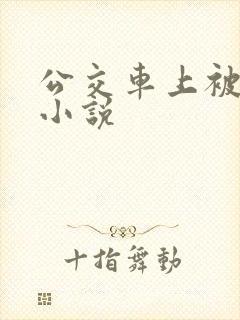 公交车上被摸了小说