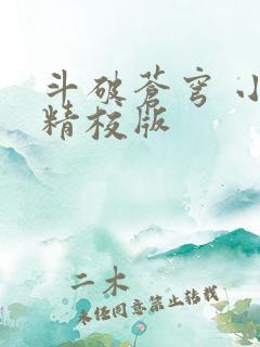 斗破苍穹 小说精校版