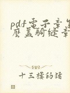 pdf电子章怎么盖骑缝章