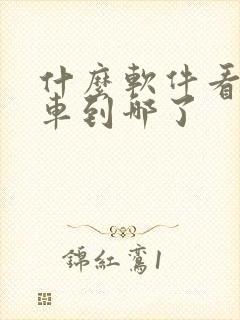 什么软件看公交车到哪了