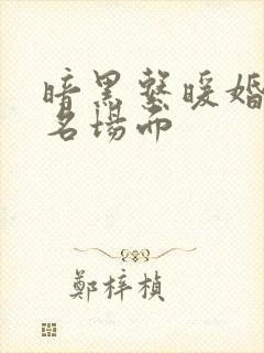 暗黑系暖婚水里名场面