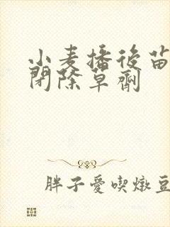 小麦播后苗前封闭除草剂