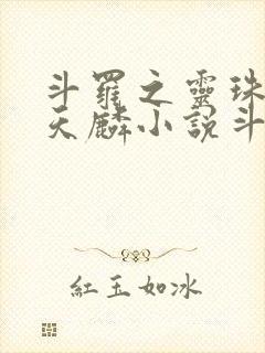 斗罗之灵珠神剑天麟小说斗