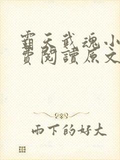 霸天武魂小说免费阅读原文