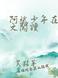阿斌少年在线全文阅读