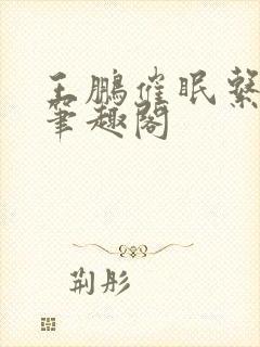 王鹏催眠系列新笔趣阁