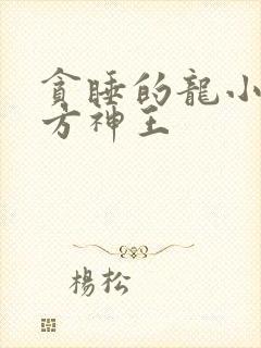 贪睡的龙小说十方神王