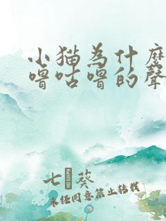 小猫为什么会咕噜咕噜的声音