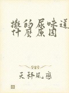 撒的尿味道重是什么原因