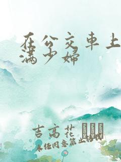 在公交车上摸丰满少妇