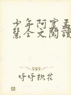 少年阿宾孟卉钰慧全文阅读