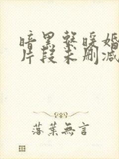 暗黑系暖婚开车片段未删减版