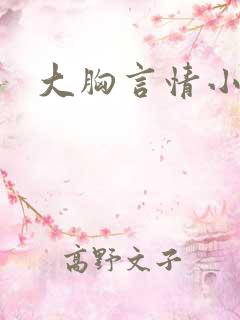 大胸言情小说